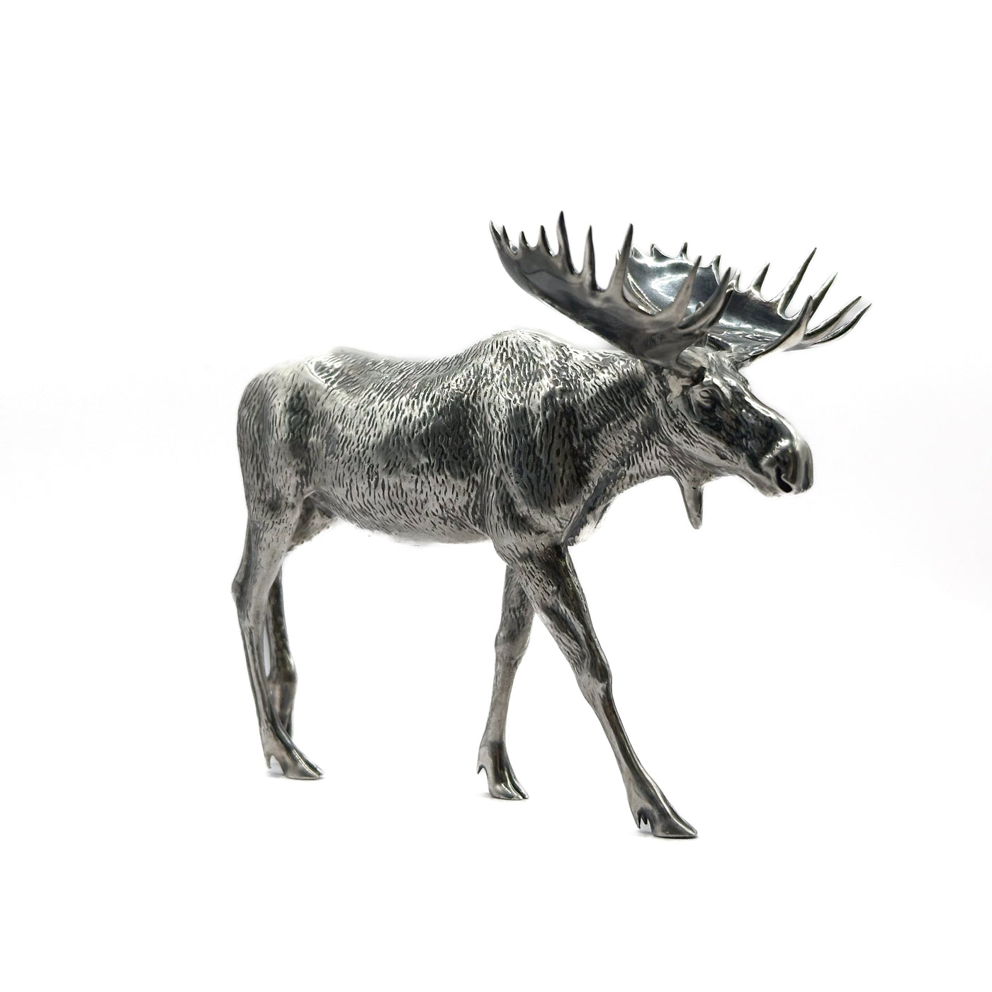 Canadian Moose