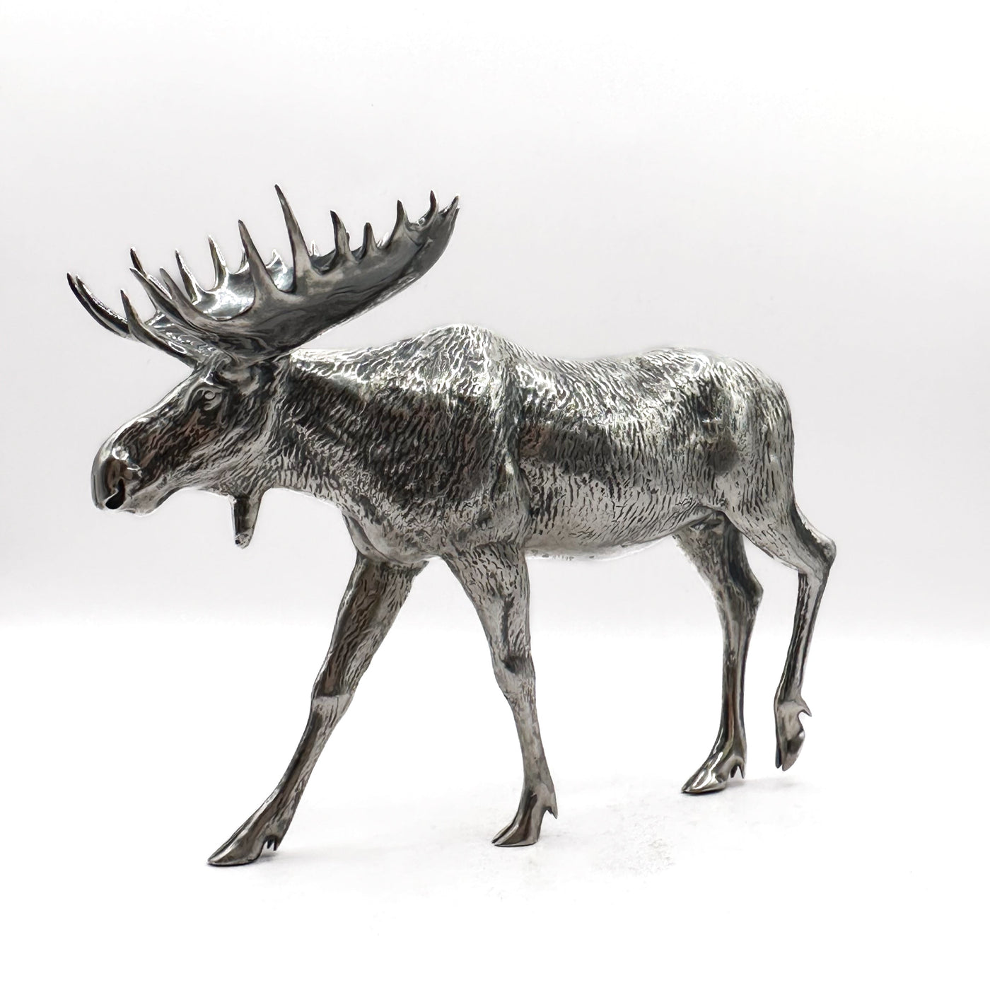 Canadian Moose
