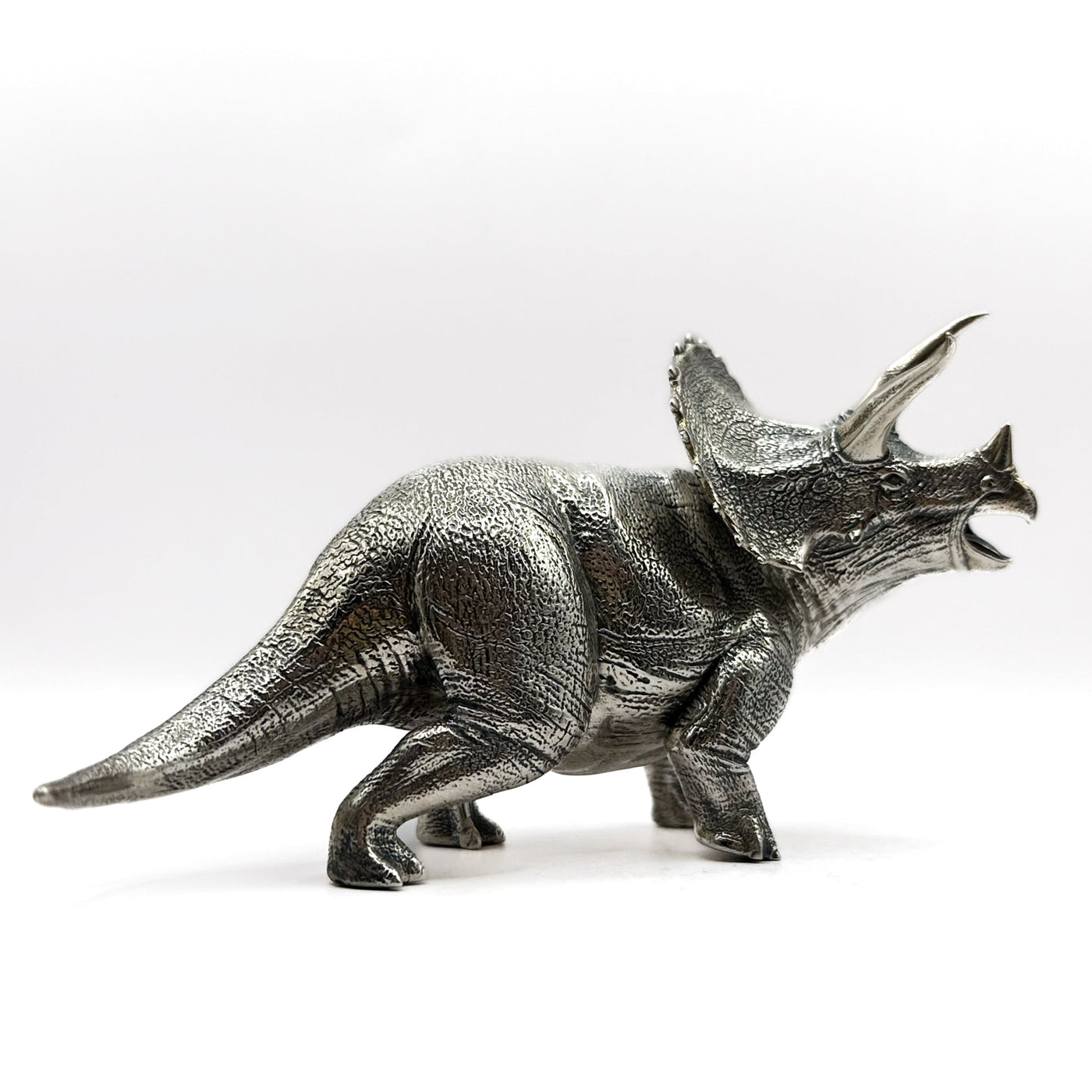 Triceratops: New Edition